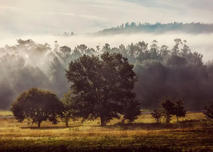 Mu_moradas No Ulla Teo